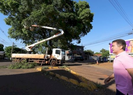 PREFEITURA DE DOURADOS INICIA REVITALIZAÇÃO DE ROTATÓRIA NO JARDIM MARINGÁ