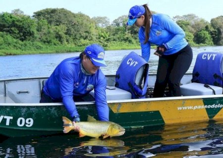 DEPUTADOS MANTÉM PROIBIÇÃO DE PESCA DO PEIXE DOURADO EM MS