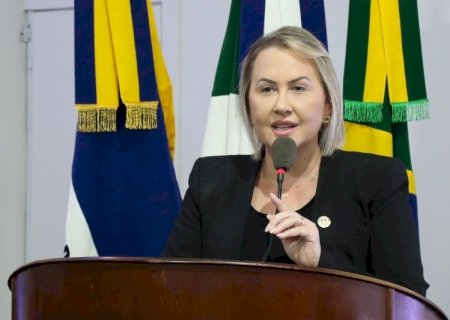 LIANDRA DA SAÚDE SOLICITA EMENDAS PARA REFORMA DO CEPER DO II PLANO