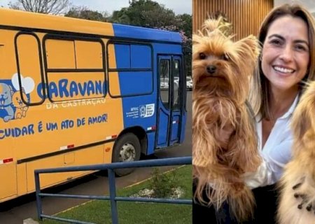 DE OLHO NA REELEIÇÃO, SORAYA INVESTE NA CARAVANA DA CASTRAÇÃO PARA ATINGIR 20 MIL ANIMAIS