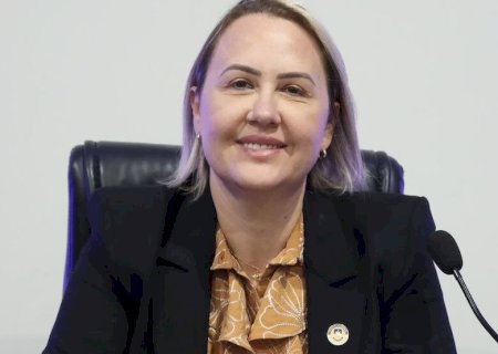 LIANDRA FAZ BALANÇO DE AÇÕES NA CÂMARA