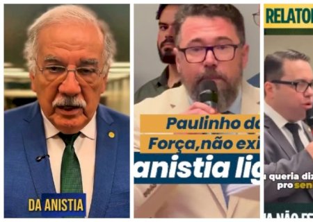 BOLSONARISTAS PRIORIZAM ANISTIA E IGNORAM ISENÇÃO DO IMPOSTO DE RENDA PARA QUEM GANHA ATÉ R$ 5 MIL