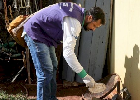 DOURADOS TEM DUAS MORTES POR DENGUE