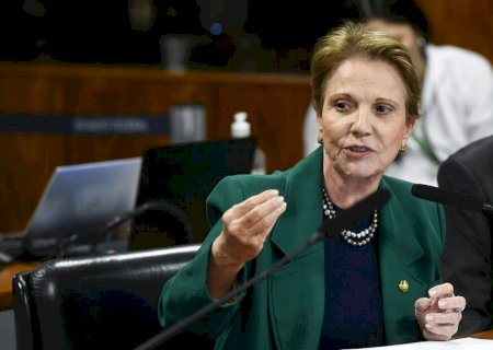 PATRIOTAS? BOLSONARISTAS ATACAM TEREZA CRISTINA POR ELOGIAR REDUÇÃO DE TARIFAS DOS EUA