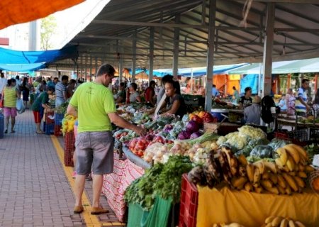 FEIRA CENTRAL DE DOURADOS TERÁ ATENDIMENTO NA TERÇA