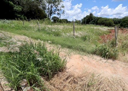 EM DOURADOS, PROPRIETÁRIOS QUE NÃO CUIDAM TERRENOS SERÃO AUTUADOS