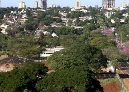 DOURADOS FICA ENTRE AS 50 CIDADES MAIS ARBORIZADAS DO BRASIL EM AVALIAÇÃO INTERNACIONAL