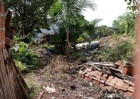 MUTIRÃO CONTRA CHIKUNGUNYA CHEGA AO SANTA MARIA E CCZ APELA POR APOIO DA POPULAÇÃO