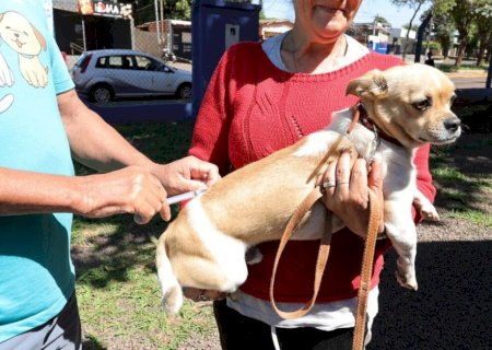 PREFEITURA MANTÉM VACINAÇÃO INTENSIFICADA DE ANIMAIS ACOLHIDOS POR PROTETORES E ONGS