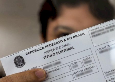 QUE TIPO DE ELEITOR VOCÊ É E COMO ISSO MOLDA O FUTURO DO PAÍS?