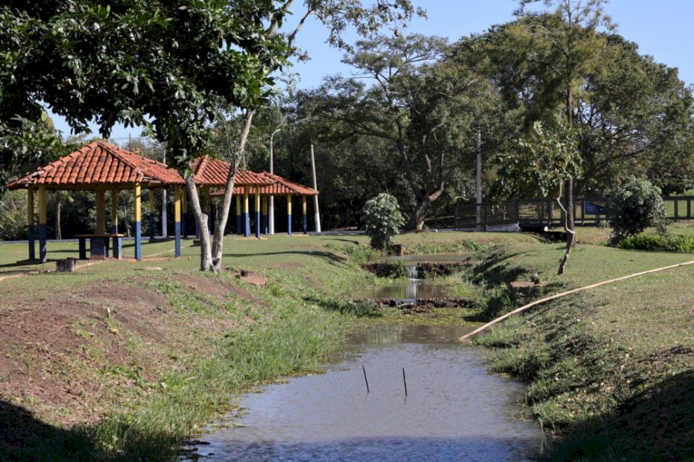 COM PARCERIA, PREFEITURA AMPLIA NESTE SÁBADO ARBORIZAÇÃO DO PARQUE ANTENOR MARTINS
