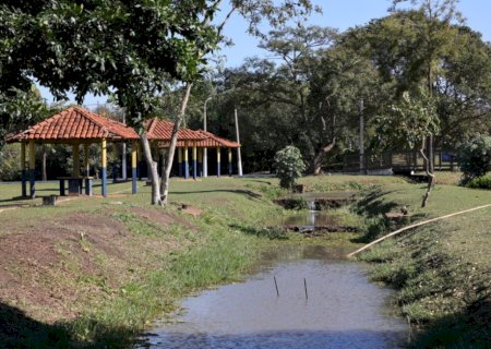 COM PARCERIA, PREFEITURA AMPLIA NESTE SÁBADO ARBORIZAÇÃO DO PARQUE ANTENOR MARTINS