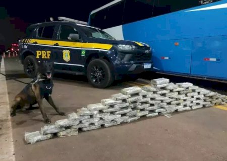 OPERAÇÃO PRENDE 28 BOLIVIANOS COM 235 QUILOS DE COCAÍNA NO ESTÔMAGO